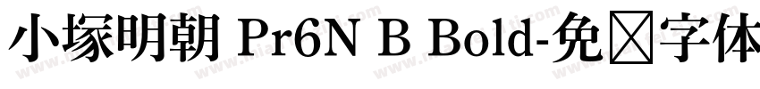 小塚明朝 Pr6N B Bold字体转换